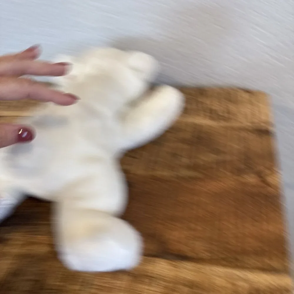 TY Beanie Buddy - Chilly the White Polar Bear Stuffed Animal Vintage 1998, ~14”